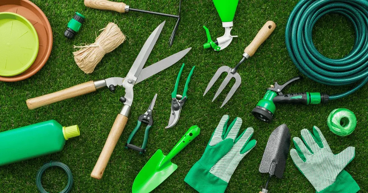Professional tree planting tools laid out neatly.