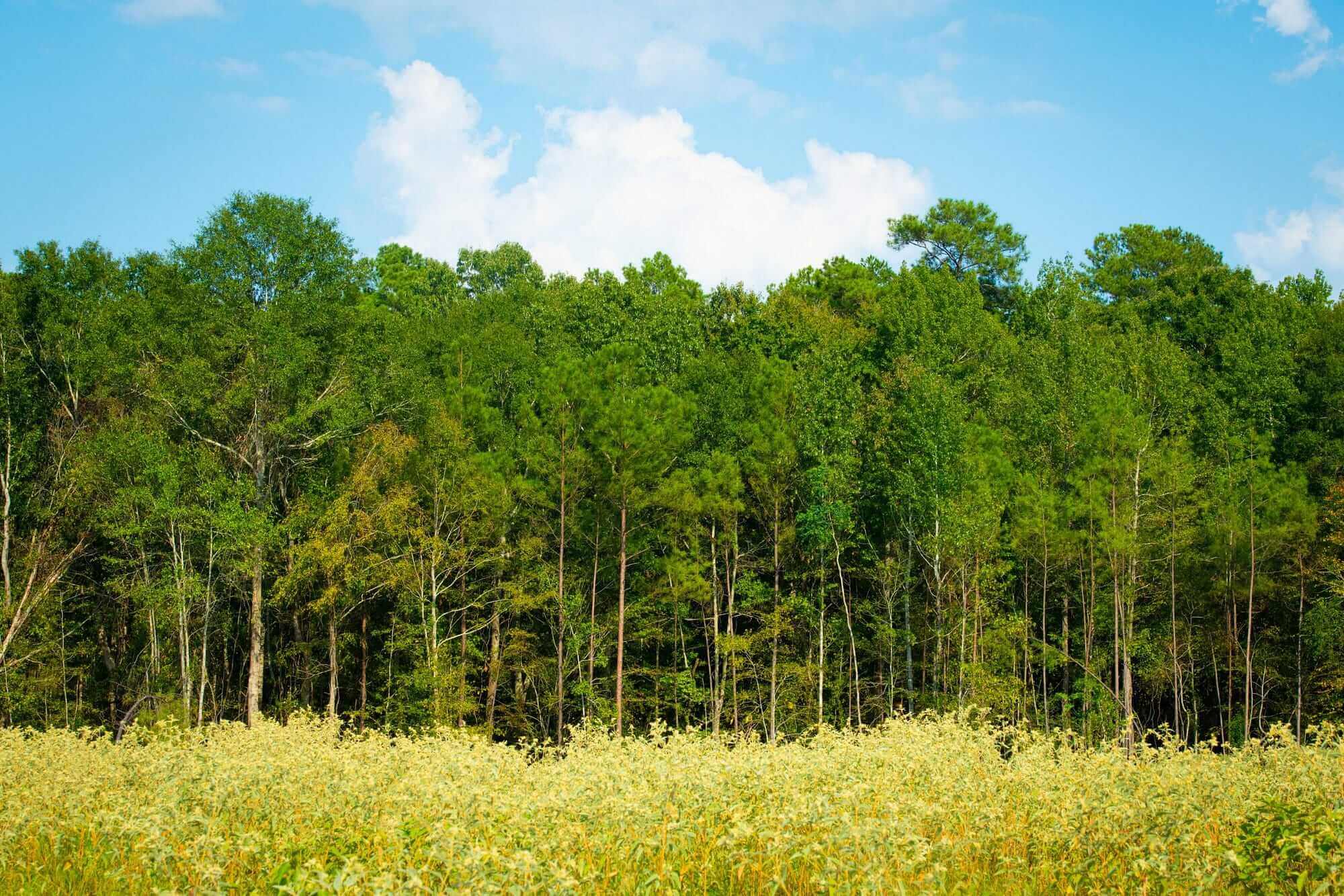 Residential project 2