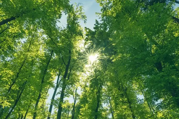 Residential project 4