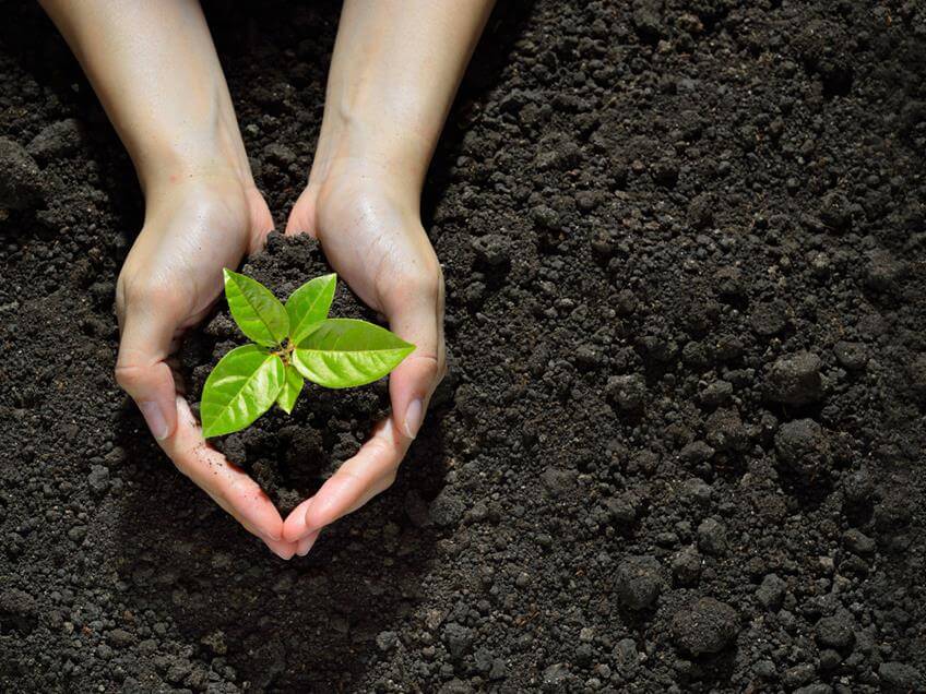 Ecological project 4